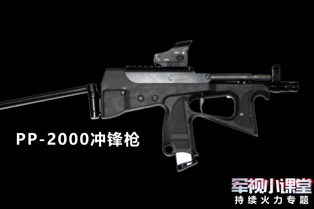 造型清奇pp2000