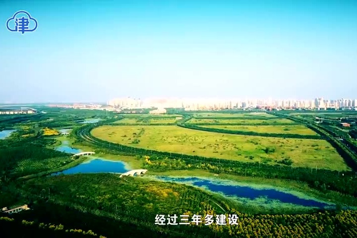 天津绿色生态屏障基本成型一片城市绿洲正在悄然生长