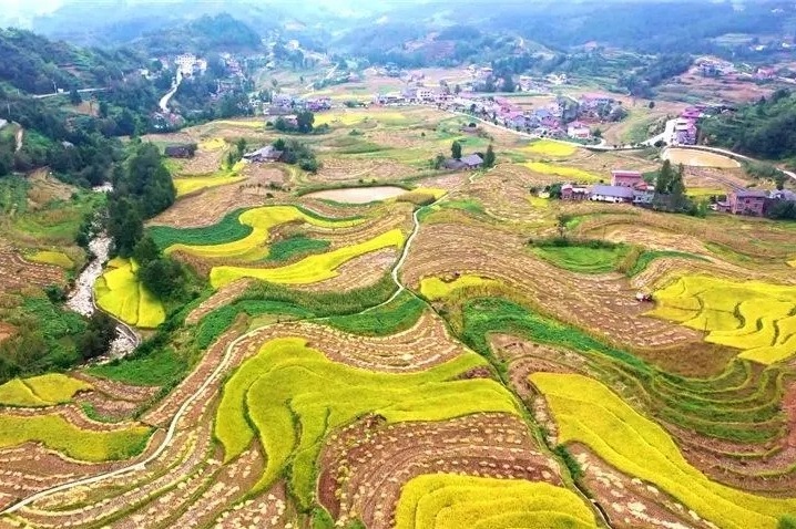 汉阴县漩涡镇凤堰古梯田