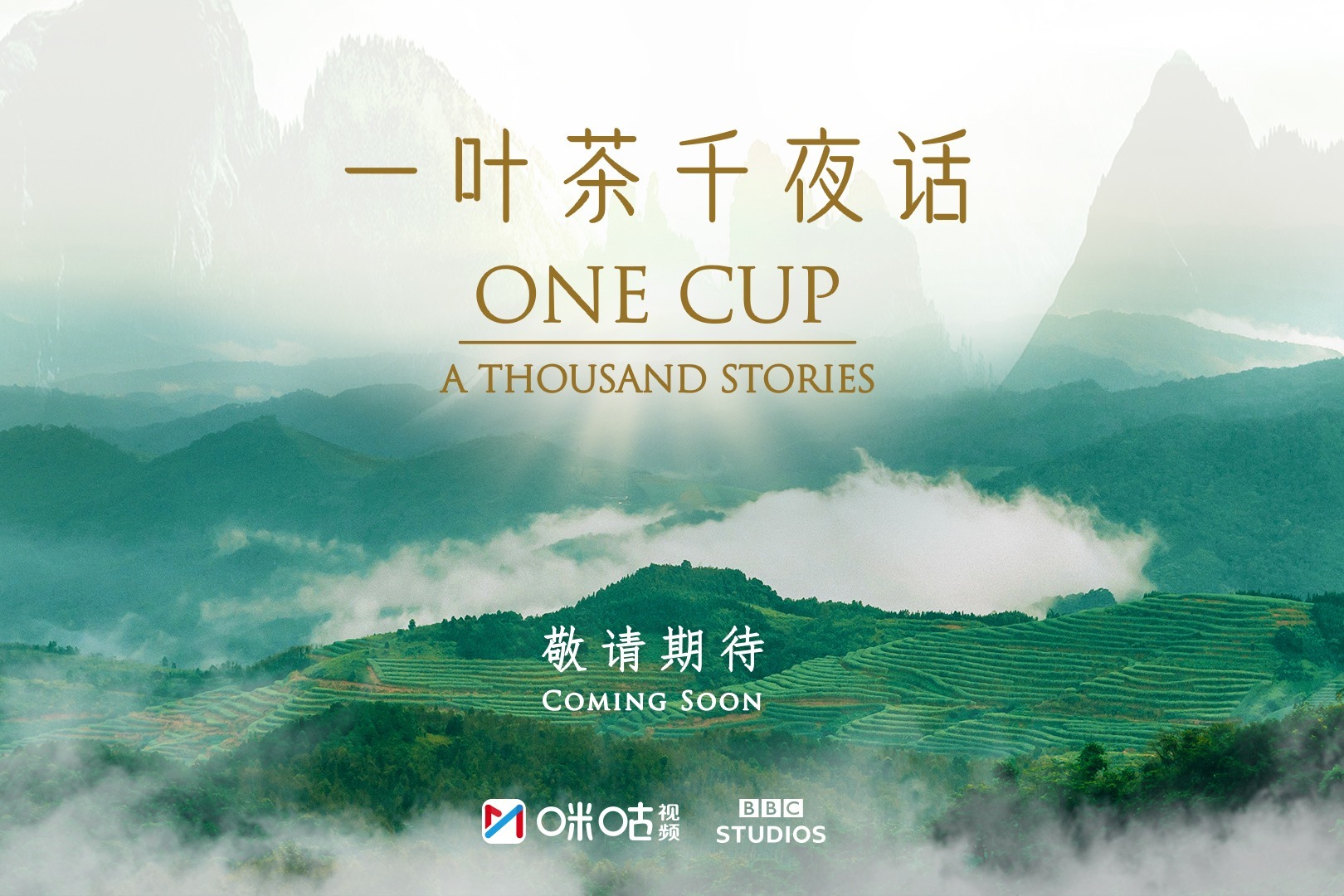 bbc历时三载精心打造纪录片《一叶茶千夜话》还原中国"茶"世界