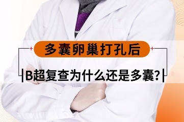 多囊卵巢打孔后b超复查为什么还是多囊