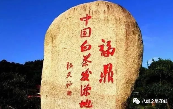 传承发展诚信经营梅氏京福茶业成功入选省市龙头企业榜单