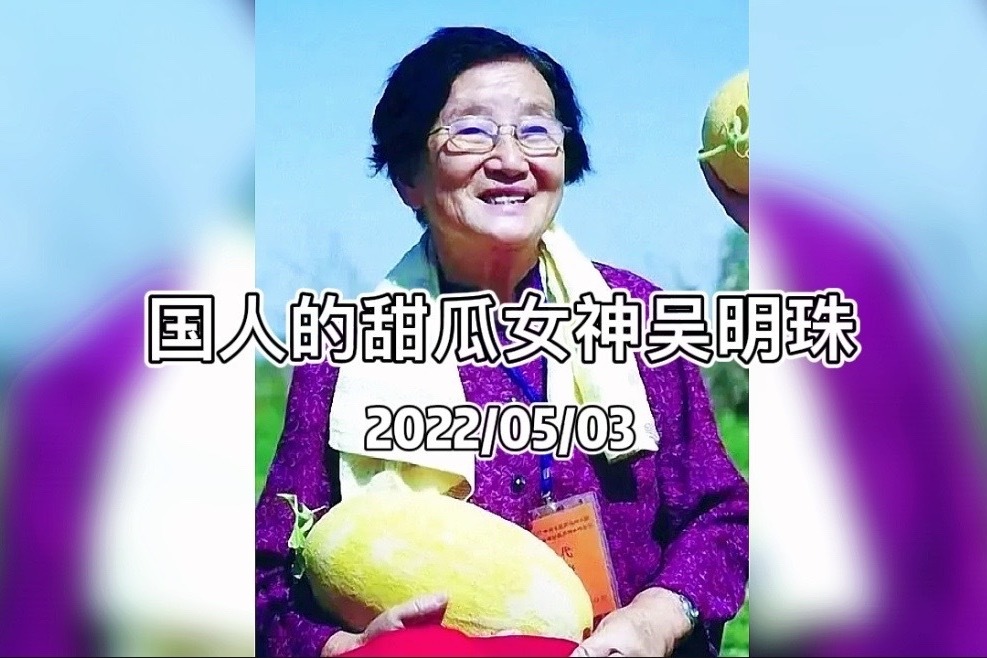 甜瓜女神吴明珠袁隆平同学让国人实现自由吃瓜的女神