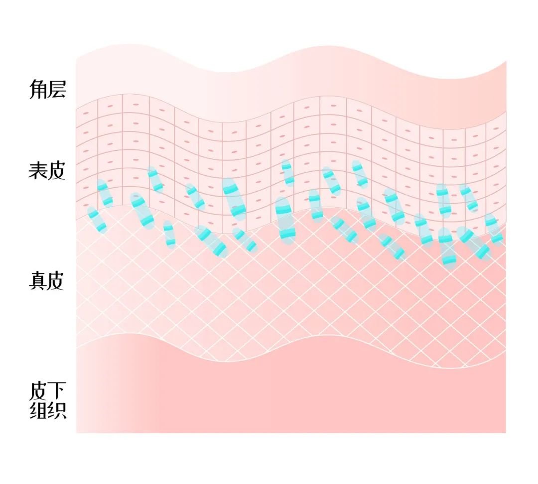 为了让肚子不被撑破你知道肚皮有多努力吗