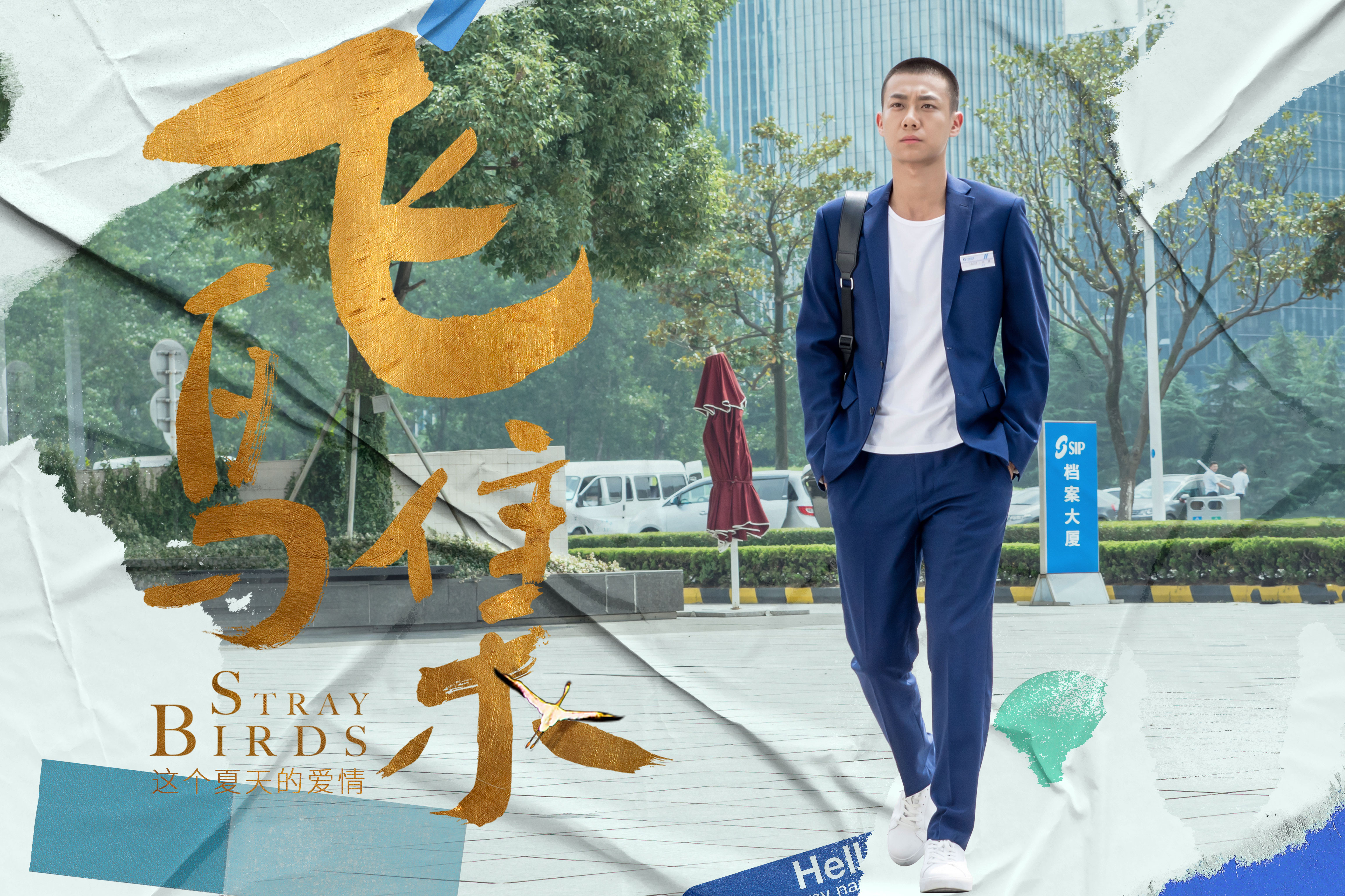 高至霆新剧《飞鸟集》开播 化身it精英热血复仇__凤凰网