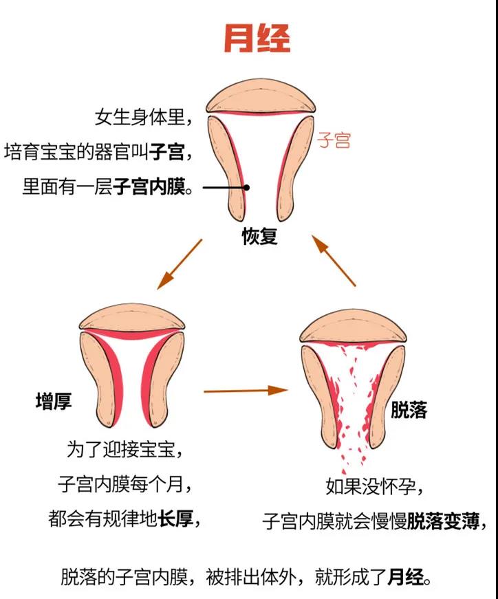 月经量是多是少正不正常怎么自我判断