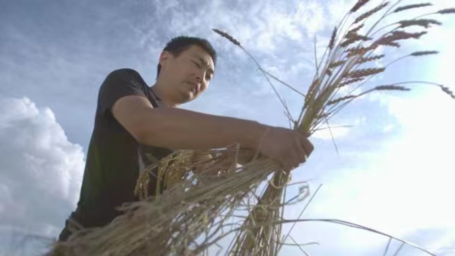 甘肃皋兰返乡青年陈柏年:发展特色农产品加工 做共同致富的有心人