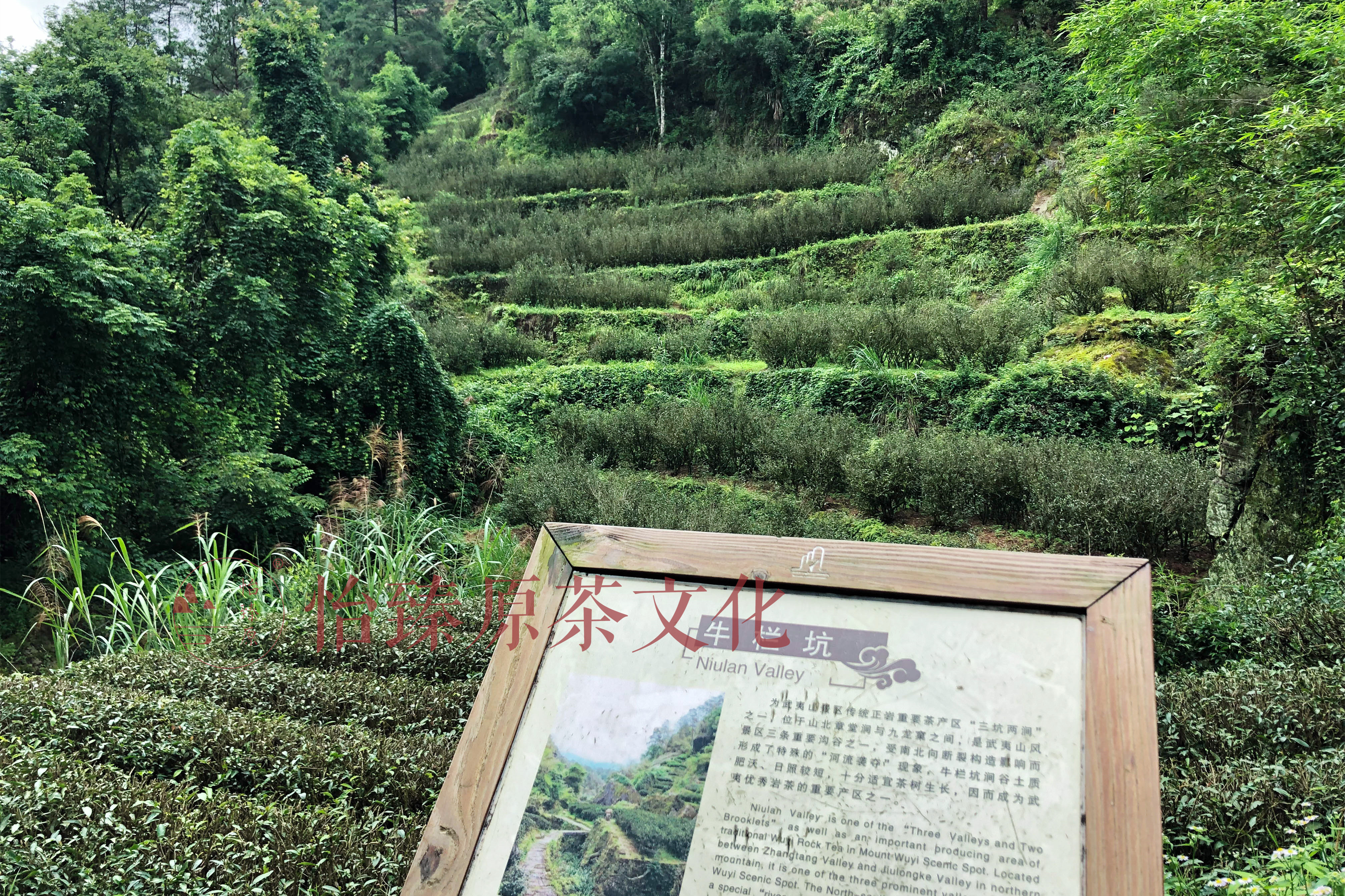 3,大坑口大坑口为通往天心岩的一条深长峡谷,横贯东西,连接天心岩和