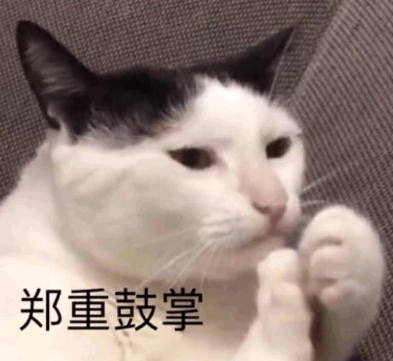 高考查分瞬间变身表情包跺脚又拍腿一蹦三尺高
