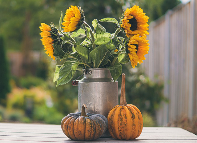 向日葵插花界最亮眼的存在