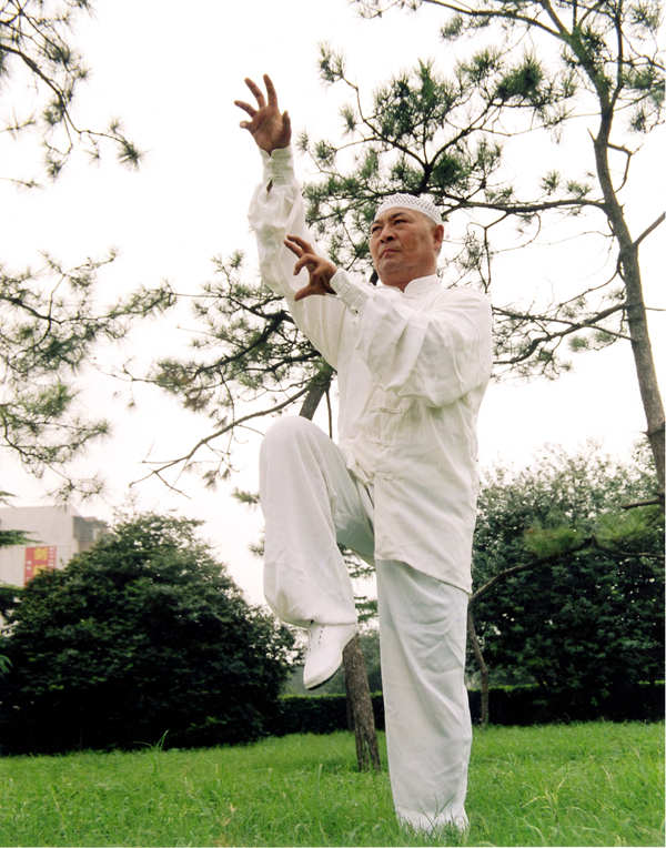 国家级非遗"心意六合拳"传承人——著名武术家买西山__凤凰网