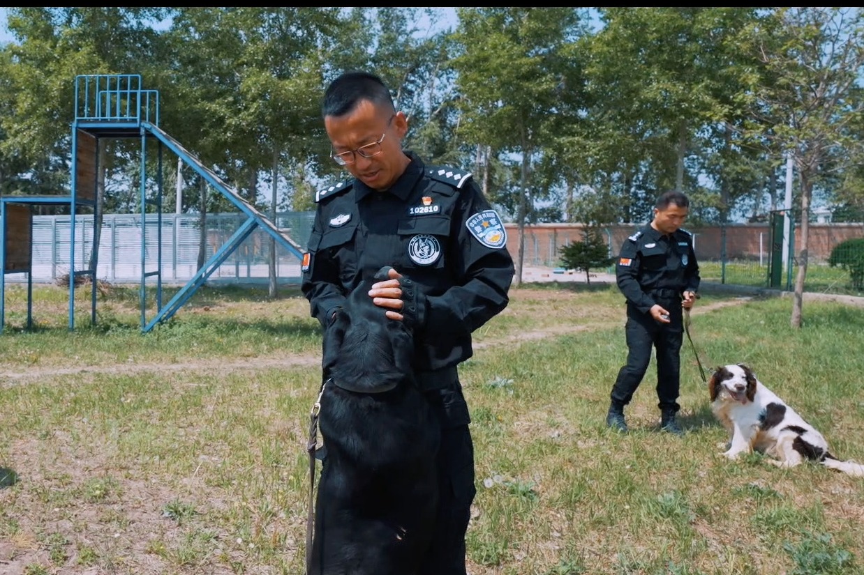 我身边的党员故事 28 樊巨峰与 无言战友 的故事