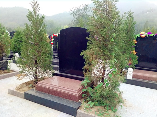 老伴下葬当天可以去墓地吗?