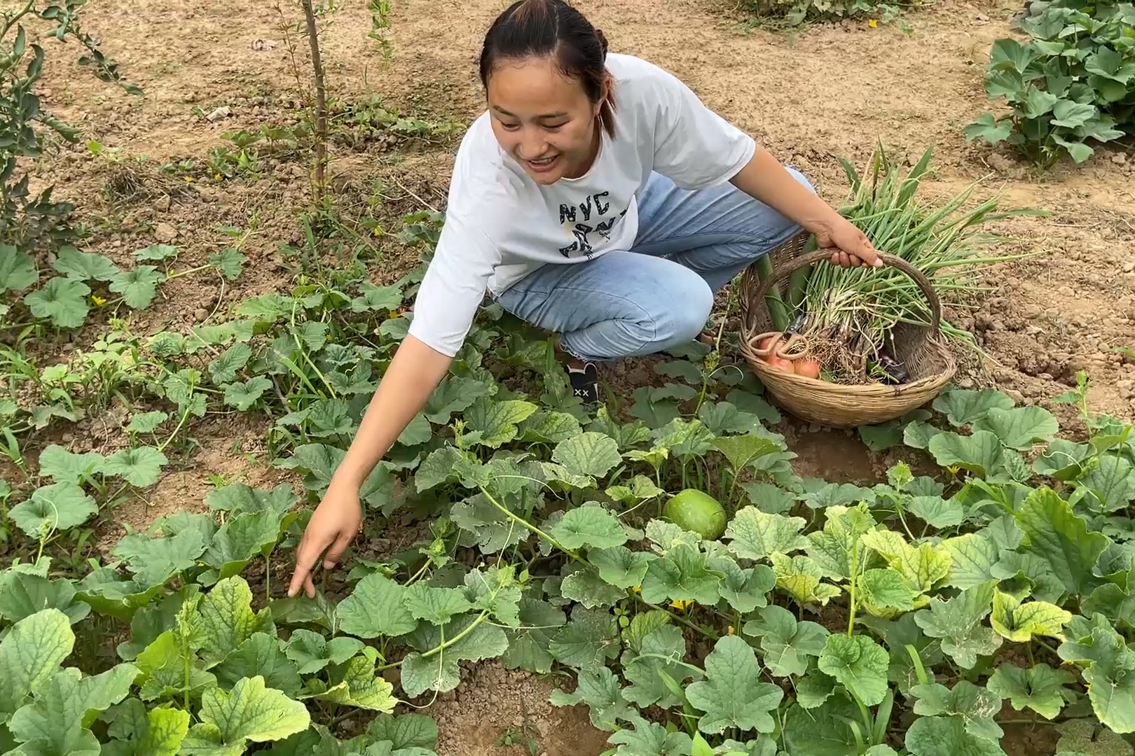 媳妇去菜园摘菜,各种瓜果蔬菜真喜人,随便一摘都是一筐子