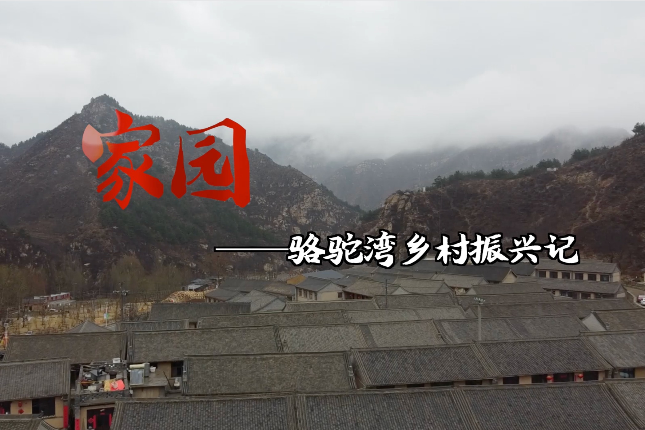 《家园》| 从“贫中之贫”到“黄土生金”，骆驼湾村招数多