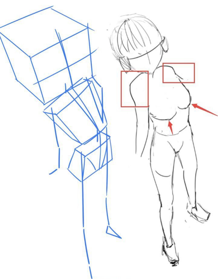 人体透视总画错?学会这些让你不再烦恼!