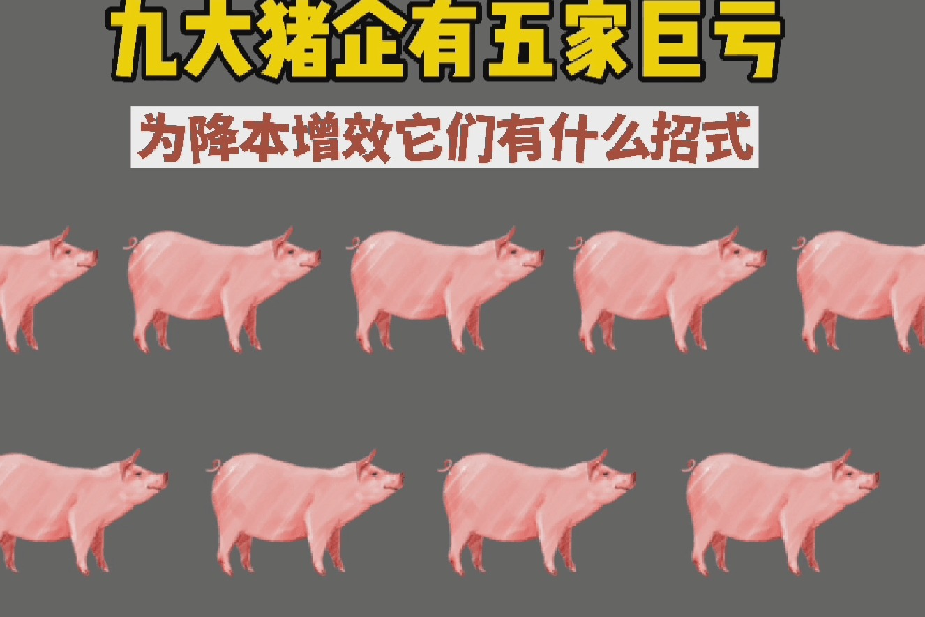 九大猪企有五家巨亏，为降本增效它们有什么招式？