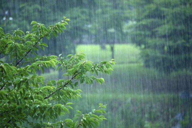 阴雨天风景图片图片