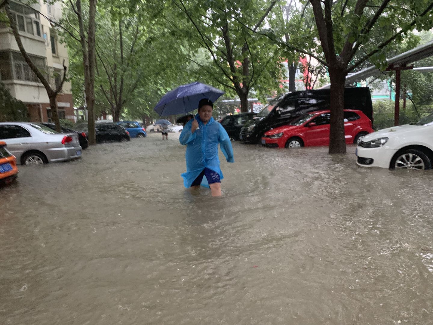 这是罕见暴雨后的郑州_凤凰网视频_凤凰网