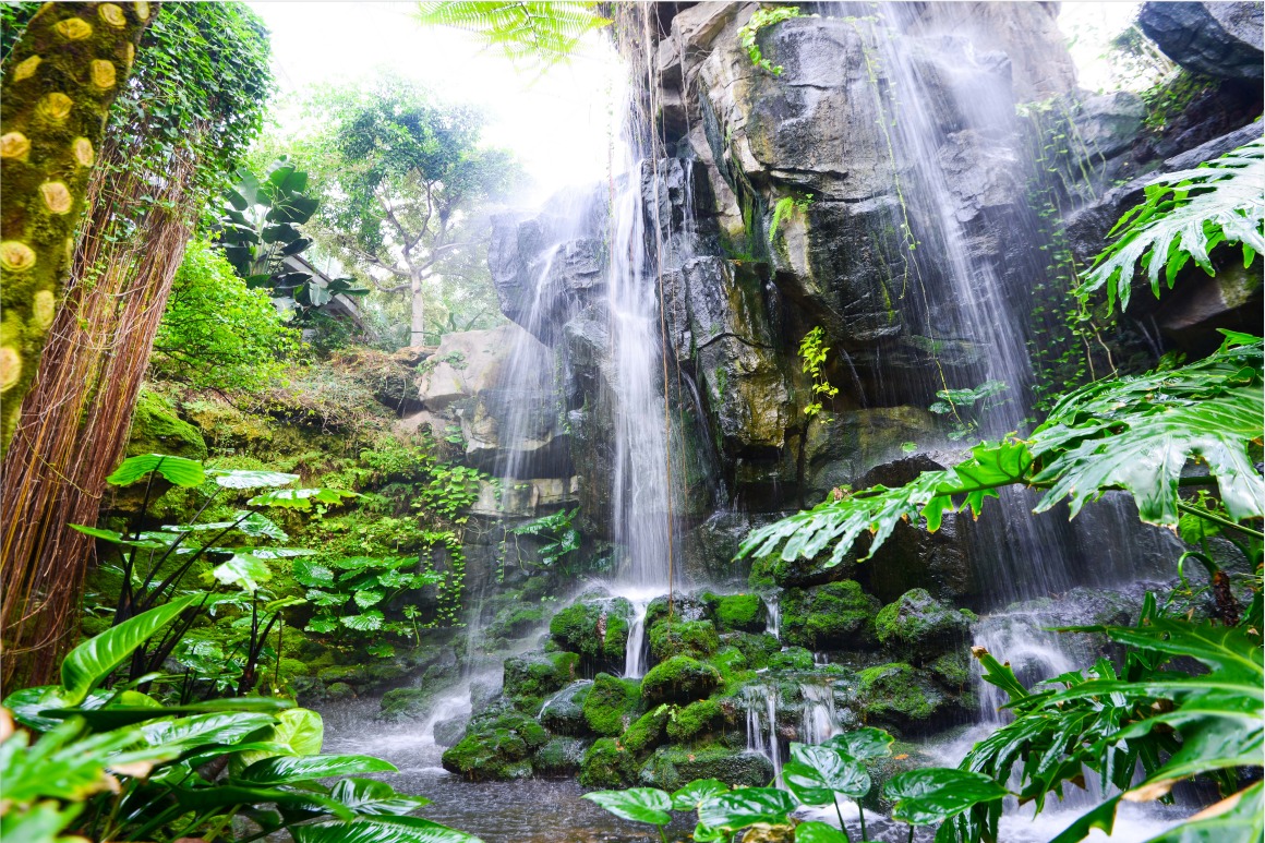 发现新青岛，体验新美好——青岛世博园植物馆