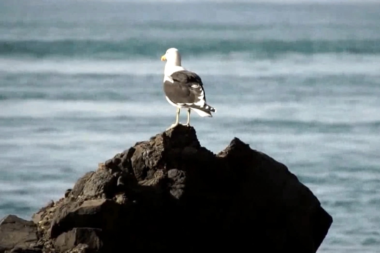 发现新青岛，体验新美好——朗艺美术馆