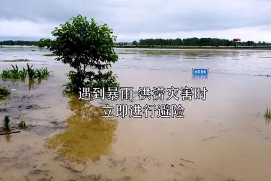 哈尔滨市应急管理局提示您遇到暴雨、洪涝灾害如何应对