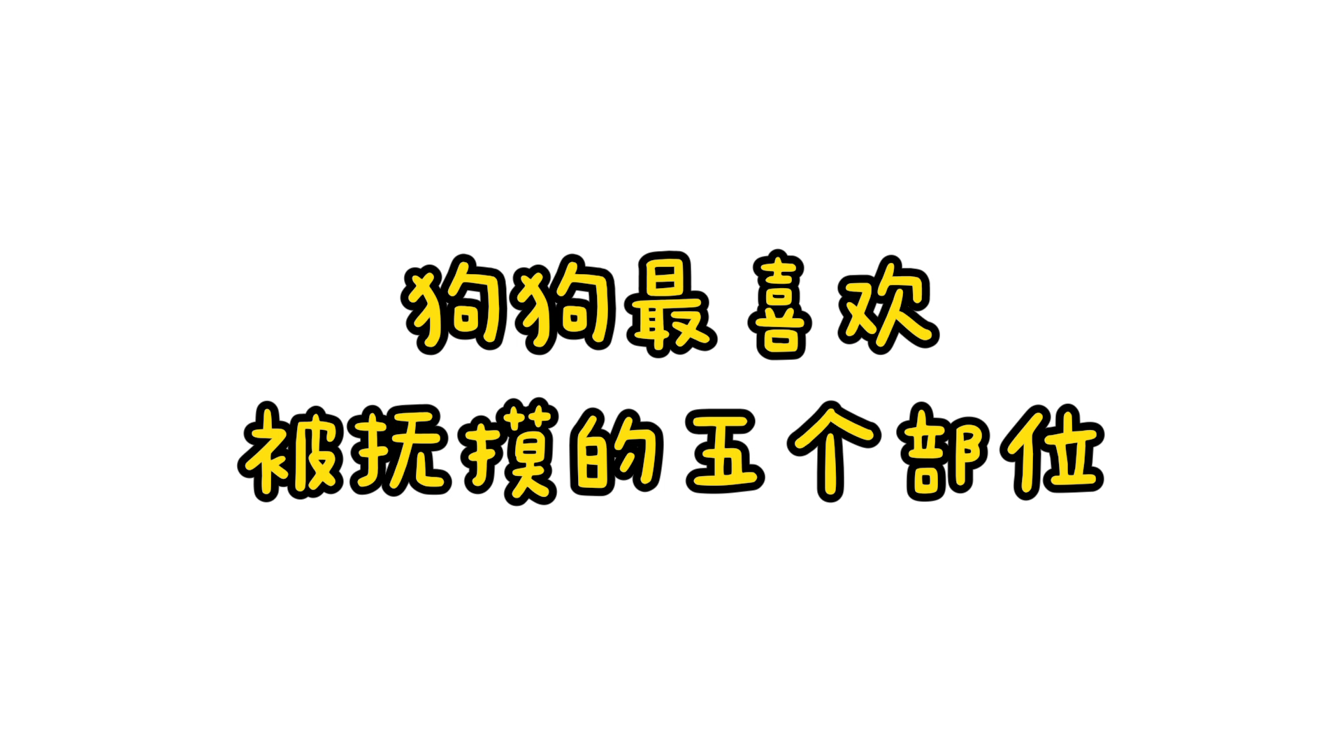 宠物知识分享！狗狗最喜欢被抚摸的五个部位，你学会了吗？