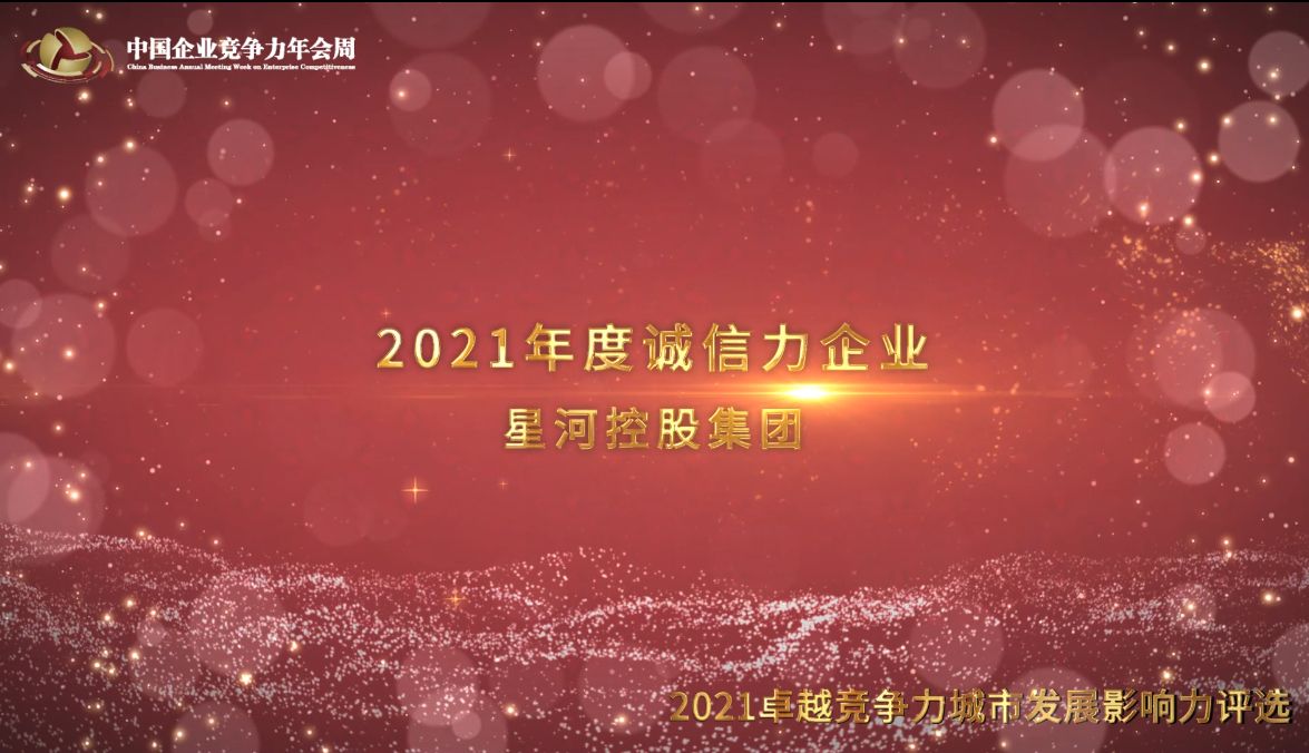 2021年度诚信力企业星河控股集团