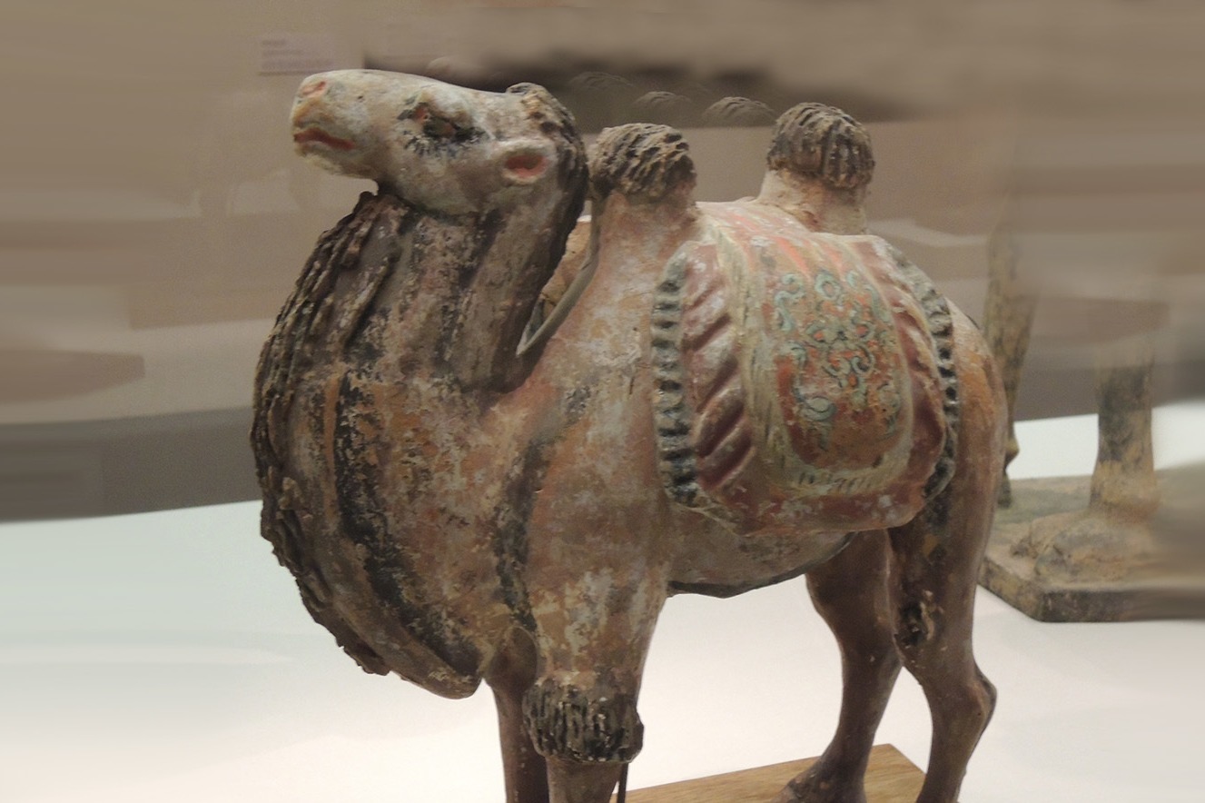 中国古代陶器珍宝——唐代彩绘陶驮物骆驼，国家博物馆藏