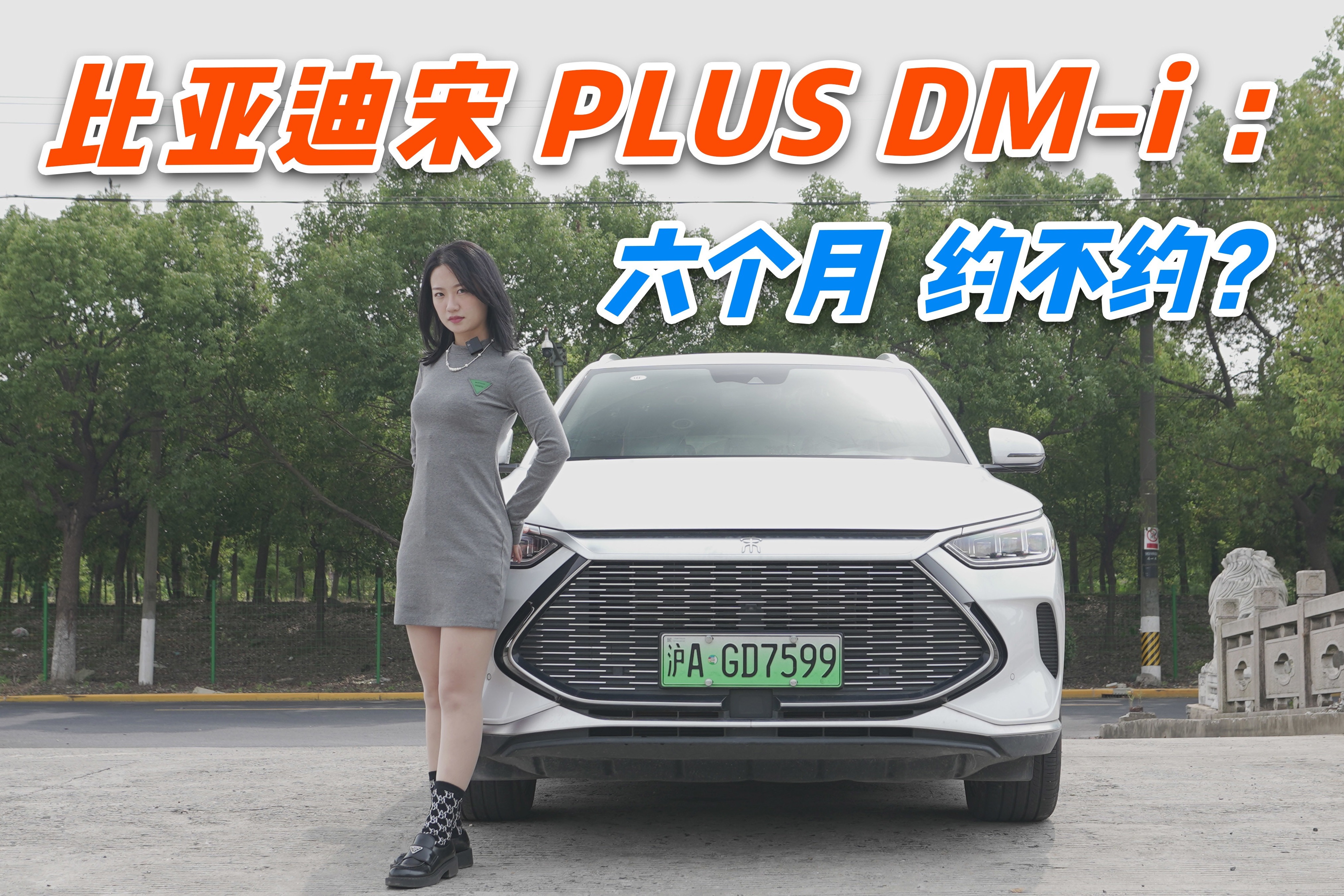 比亚迪宋PLUS DM-i：六个月，约不约？