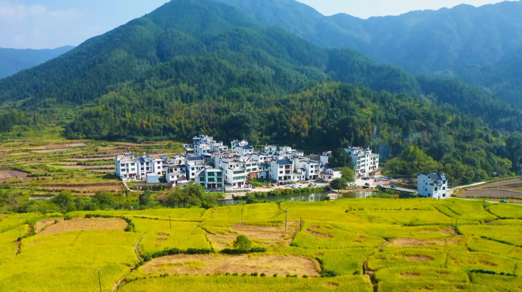 姚青春2021年10月自然风光山水风景乡村生活田园风光茶园风景__凤凰网