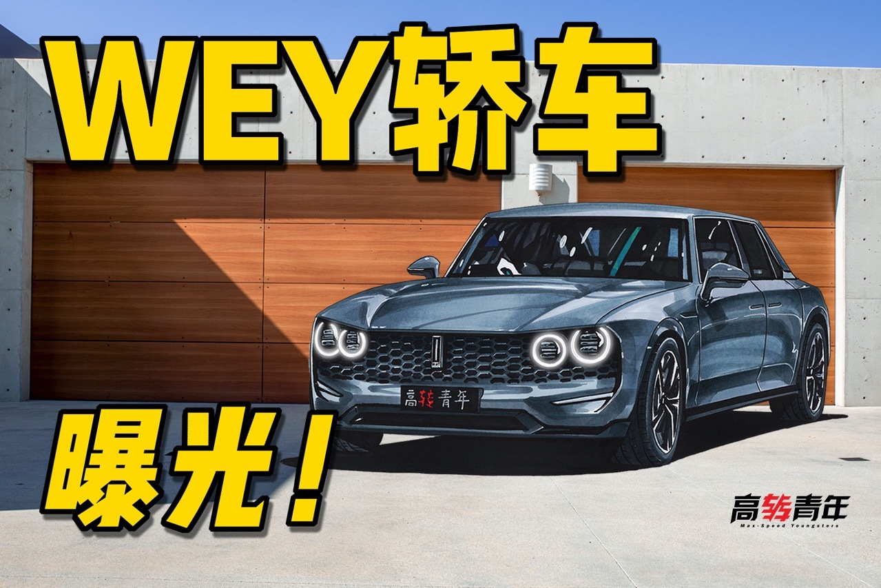 坐不住了？国产长城重造轿车！对开门，对标领克03？