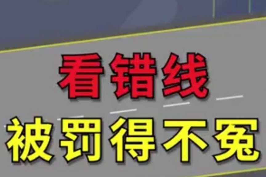 忠诚与背叛的交织