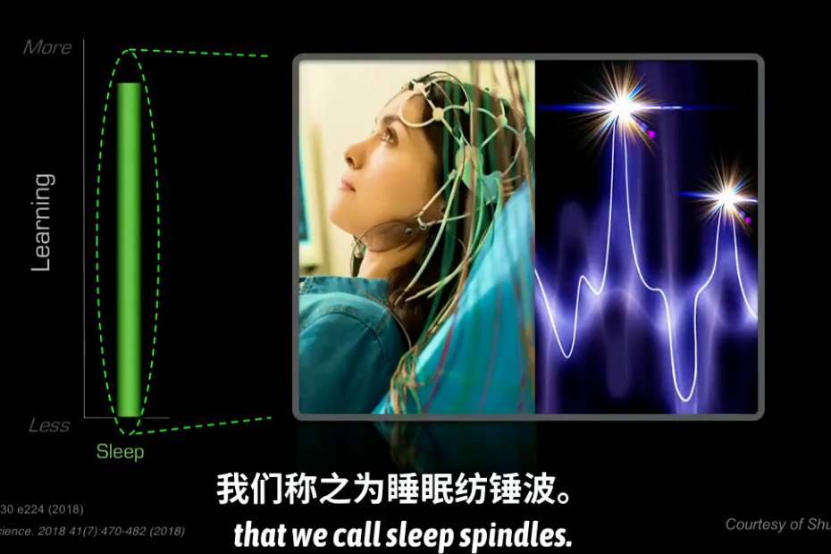 睡眠到底有多重要，看完不敢熬夜了！