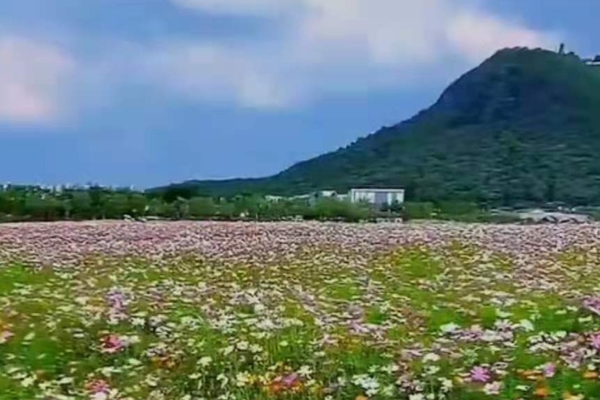 仁清法师：化喻品是什么