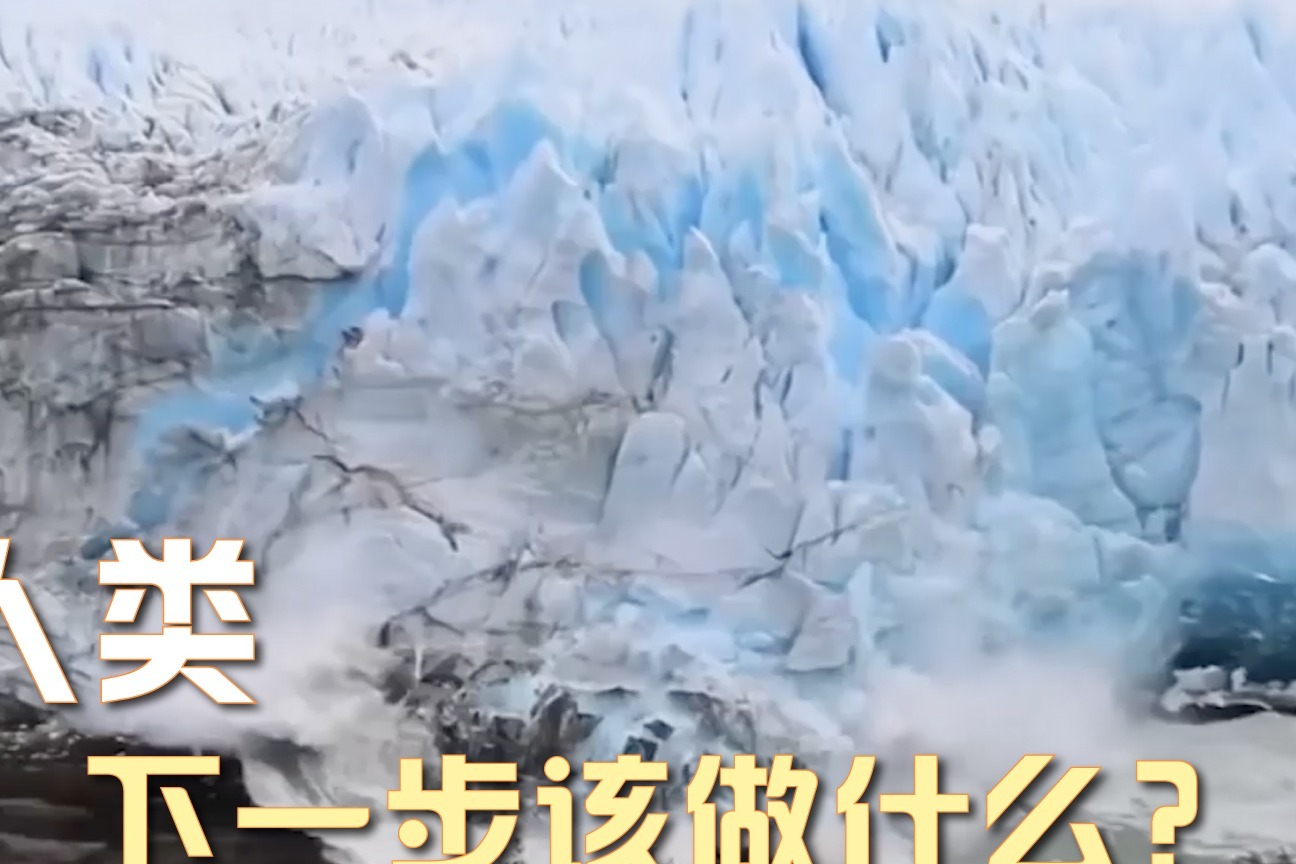 人类下一步该做什么？