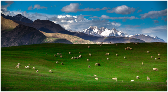 【全域旅游看新疆】访新疆温宿县县委书记李新斌__凤凰网