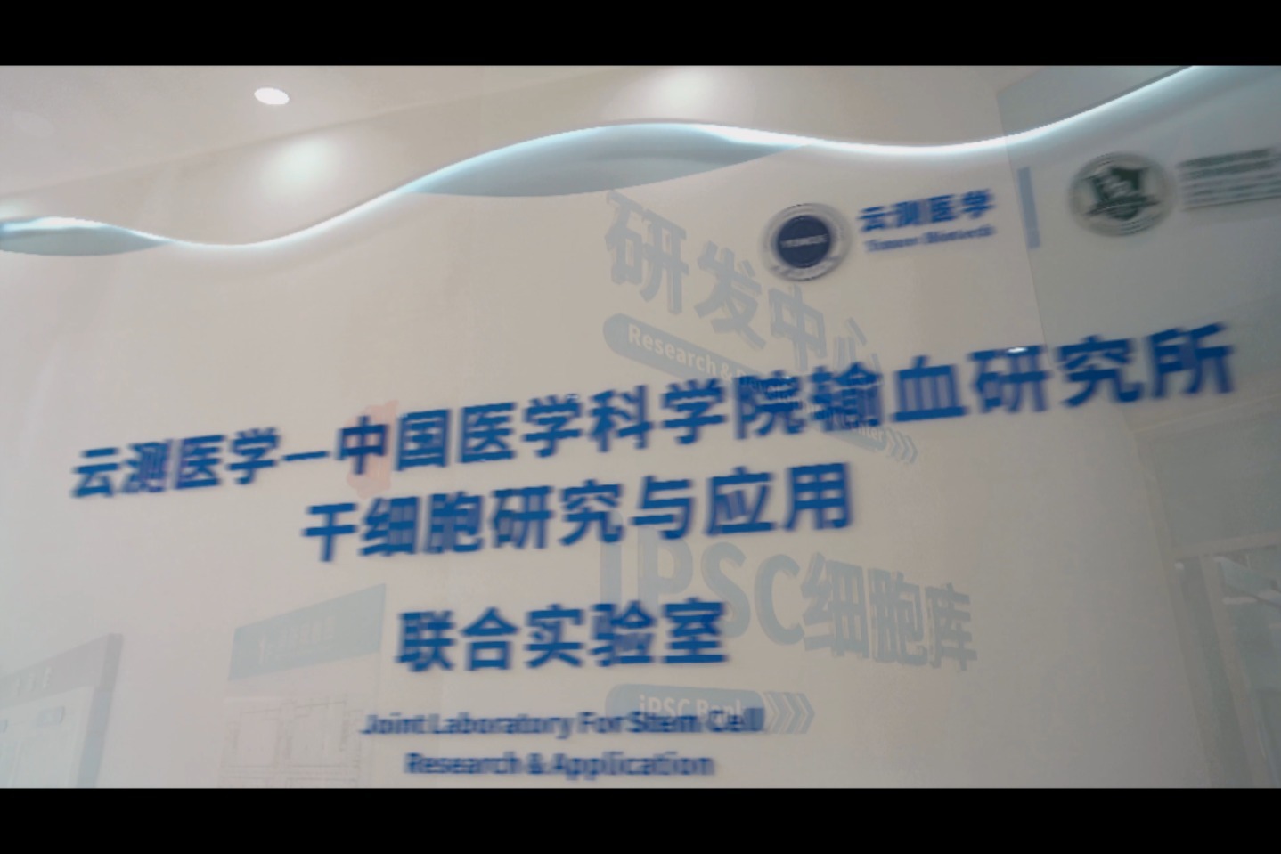 间充质干细胞及早筛