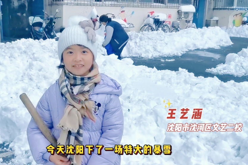 沈阳百校少先队员志愿者积极响应政府号召 参与除雪行动