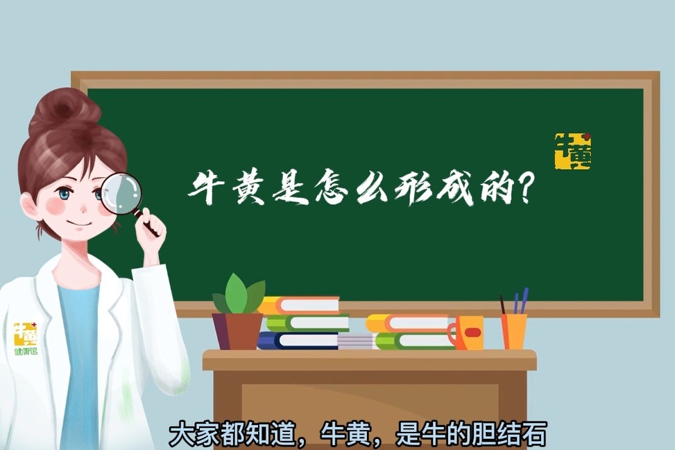 牛黄科普：牛黄是怎么形成的？