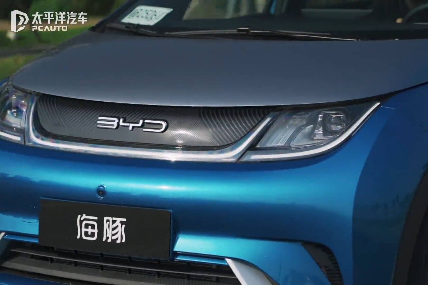 顶配才是最佳选择！12万的比亚迪海豚骑士版有多香？