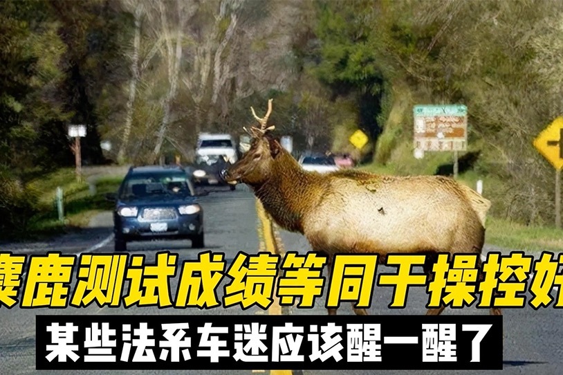 麋鹿测试成绩等同于操控好？某些法系车迷应该醒一醒了