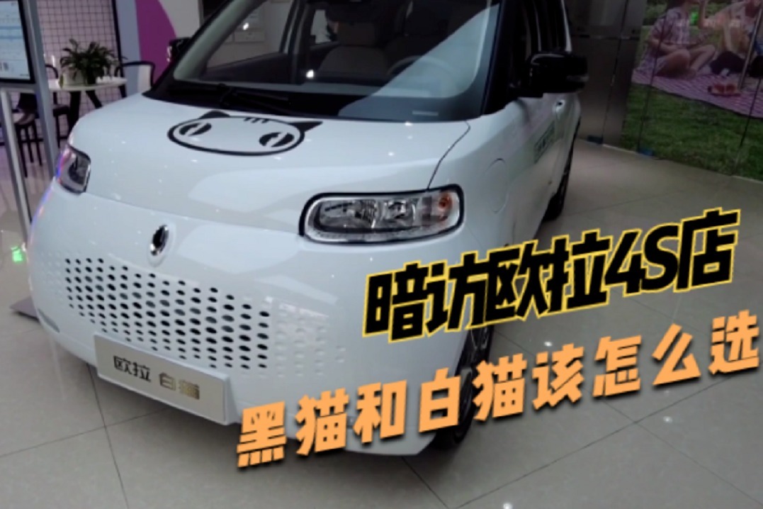 暗访欧拉4s店,黑猫和白猫真实优惠有多少?提车周期多久