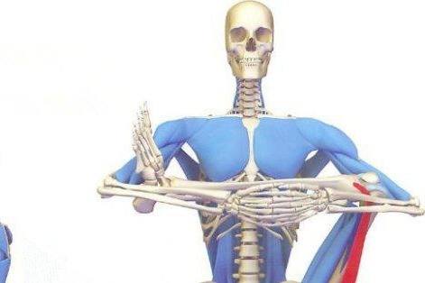 黄炳荣非物质文化遗产治疗颈椎病