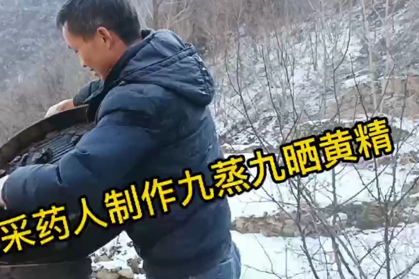 拜访秦岭采药人，做九蒸九晒黄精，请教九华山还是终南山的黄精好