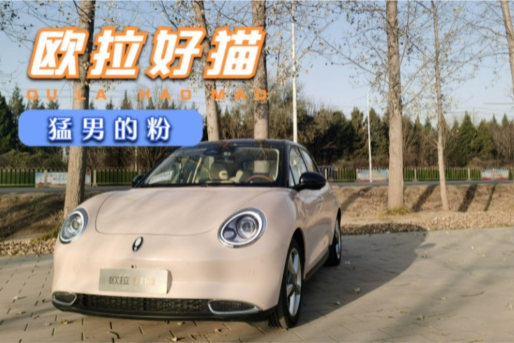 猛男粉欧拉好猫