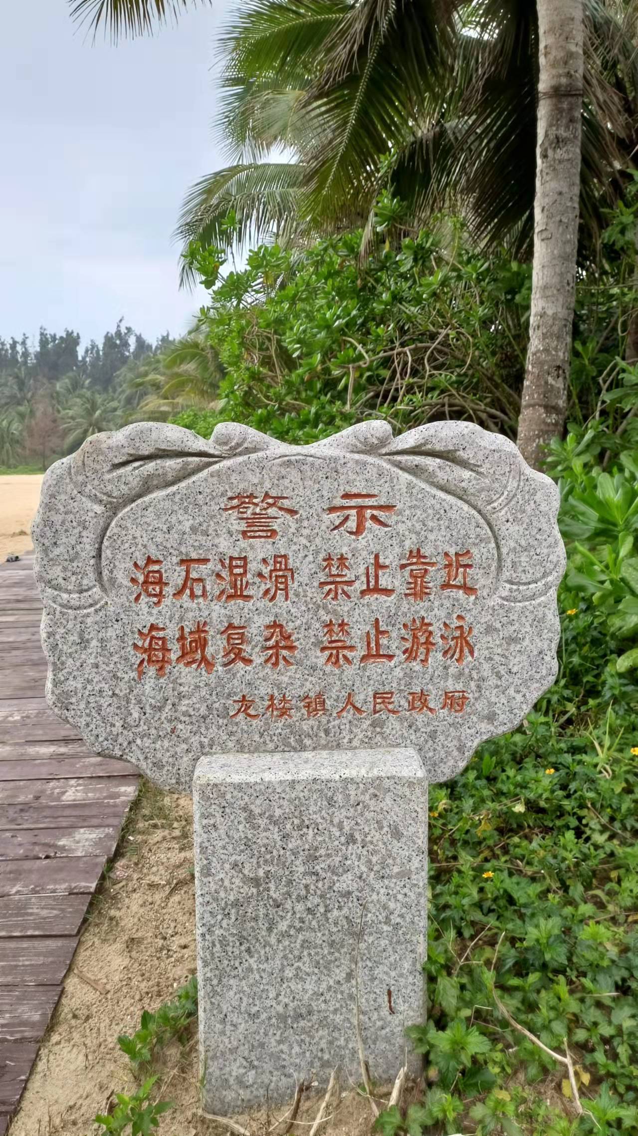 穿行椰林乐悠悠走马观花看龙楼