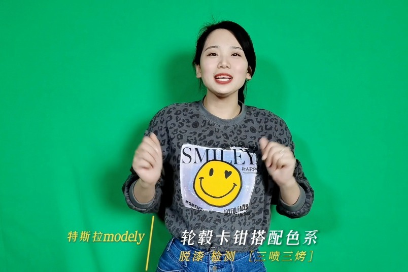 特斯拉modely轮毂卡钳颜色不同风格展示