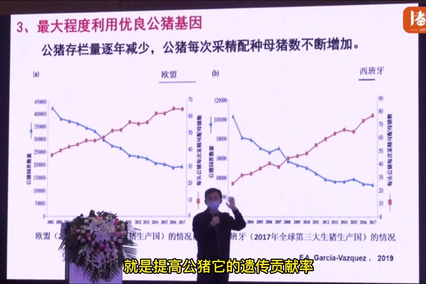 母猪定时输精作为猪场批次化生产的关键技术，该如何规范操作？