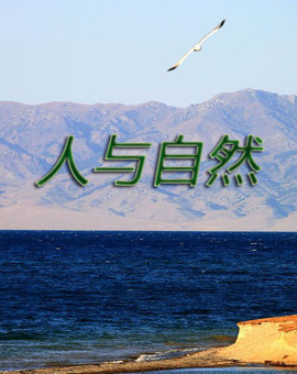 人与自然